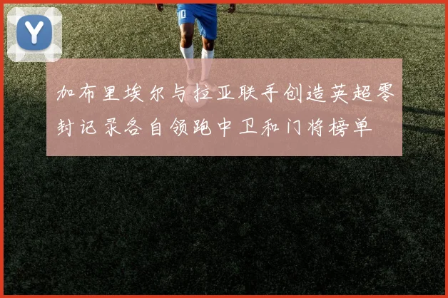 加布里埃尔与拉亚联手创造英超零封记录各自领跑中卫和门将榜单