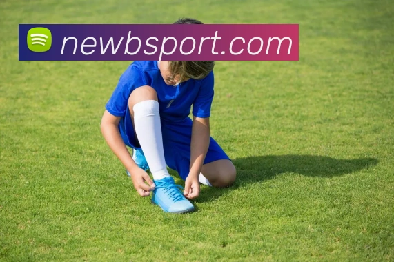 B体育平台生态图